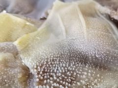 -金鼎雪山牦牛杂火锅(理县总店)