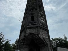 -上海佘山国家森林公园天马山园