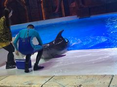 -波塞冬旅游度假区