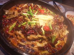 -老板恋上鱼(恒隆广场店)