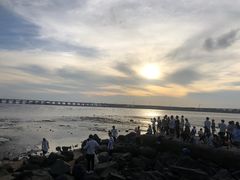 -宝安西湾红树林湿地公园