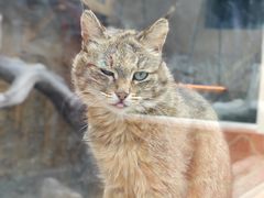 -青藏高原野生动物园