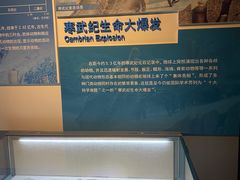 -安徽省地质博物馆
