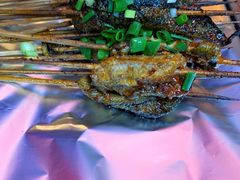 鳝鱼-晓靖轩烧烤(沙河风情店)
