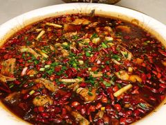 -西木兔(大圆祥店)