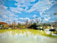 -上海长兴岛郊野公园