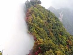 -少华山国家森林公园