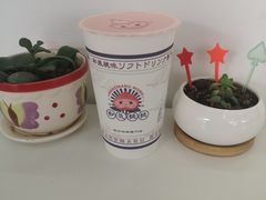-和气桃桃(宏伊广场店)