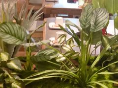 -老吉堂上海本帮菜(望京万象汇店)