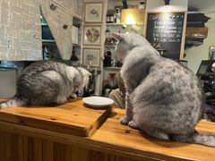 -隅cafe(傅厚岗店)