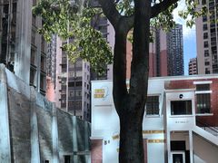 -大馆(前中区警署建築群)