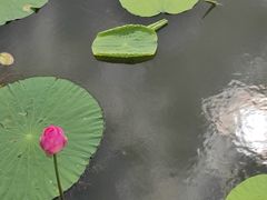 -哈尔滨大剧院
