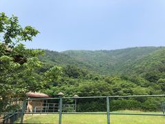 -无锡动物园·太湖欢乐园