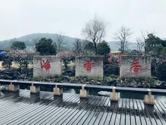 -香雪海