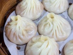 -莱莱小笼·乔艾