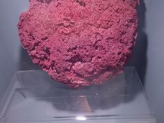 -天津自然博物馆
