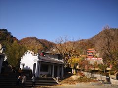 -遵化市禅林寺古银杏风景园