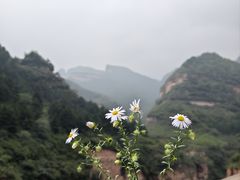 -黄崖洞文化旅游区