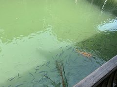 -通安客栈中餐厅·何家小馆