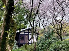 -中国茶叶博物馆(双峰馆区)