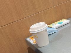 -麦当劳(北京大兴机场二层国内到达(安检外)店)