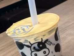 -TPLUS茶家(浦电路店)