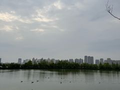 -艾溪湖湿地公园