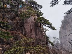 -黄山风景区