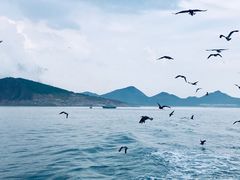-海驴岛(荣成市)