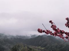 -石潭村