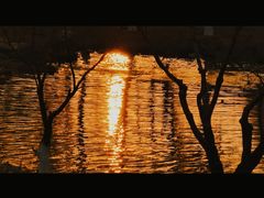-西安浐灞国家湿地公园