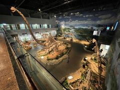 -自贡恐龙博物馆