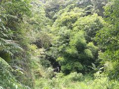 -千泷沟大瀑布旅游区