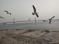 -星海广场