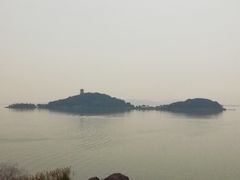 -上海市保健医疗中心