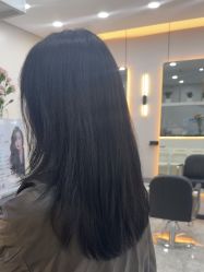 -YESIDO椰岛造型