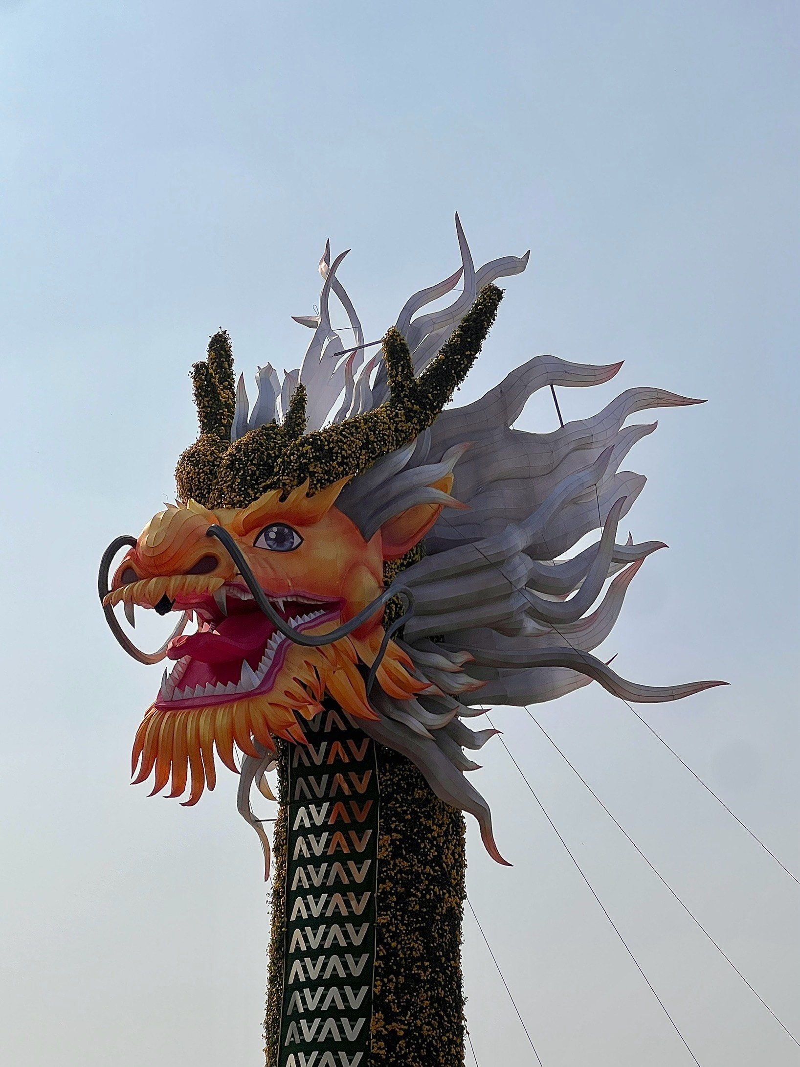 最舒服的,里面的造景都很有意思,特别是188米的华帝祥龙还是蛮震撼的!