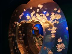 -海合安成都极地海洋公园