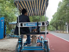 -艾溪湖湿地公园