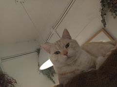 -小时光咖啡馆(北锣鼓巷店)