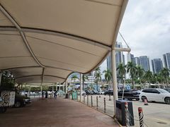 -深圳野生动物园
