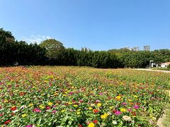 -南沙蒲洲花园
