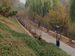 -元大都城垣遗址公园