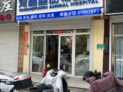 -宠福鑫康馨动物医院·骨科·眼科