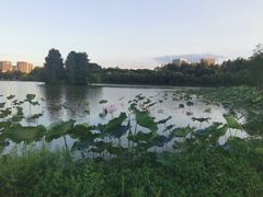 -浙江农林大学(东湖校区)