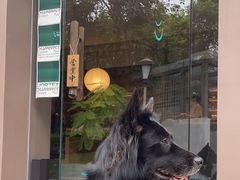 -溯洄咖啡VORTEX COFFEE