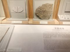 -舟山博物馆
