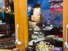 -木王宴语·野生鲜菌火锅(玉河店)
