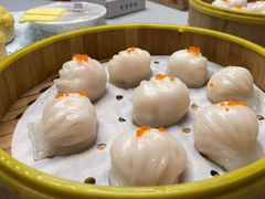 -采蝶轩
