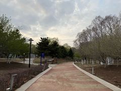 -莫子山公园